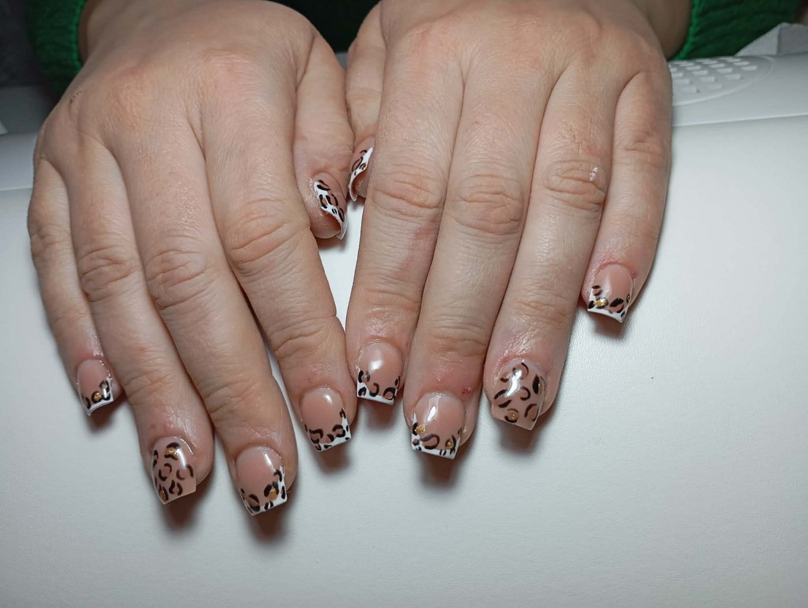 Primer Sandrinog rada 5